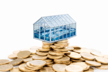 Industrializing Shrimp Farming: Total Control Comes at a Cost