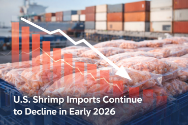 U.S. Shrimp Imports Continue to Decline in Early 2026