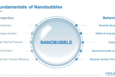 How Nanobubbles Can Make Aquaculture More Sustainable