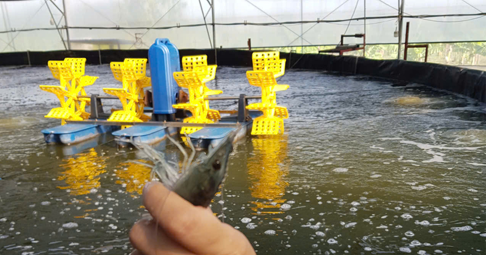 Engineering Services